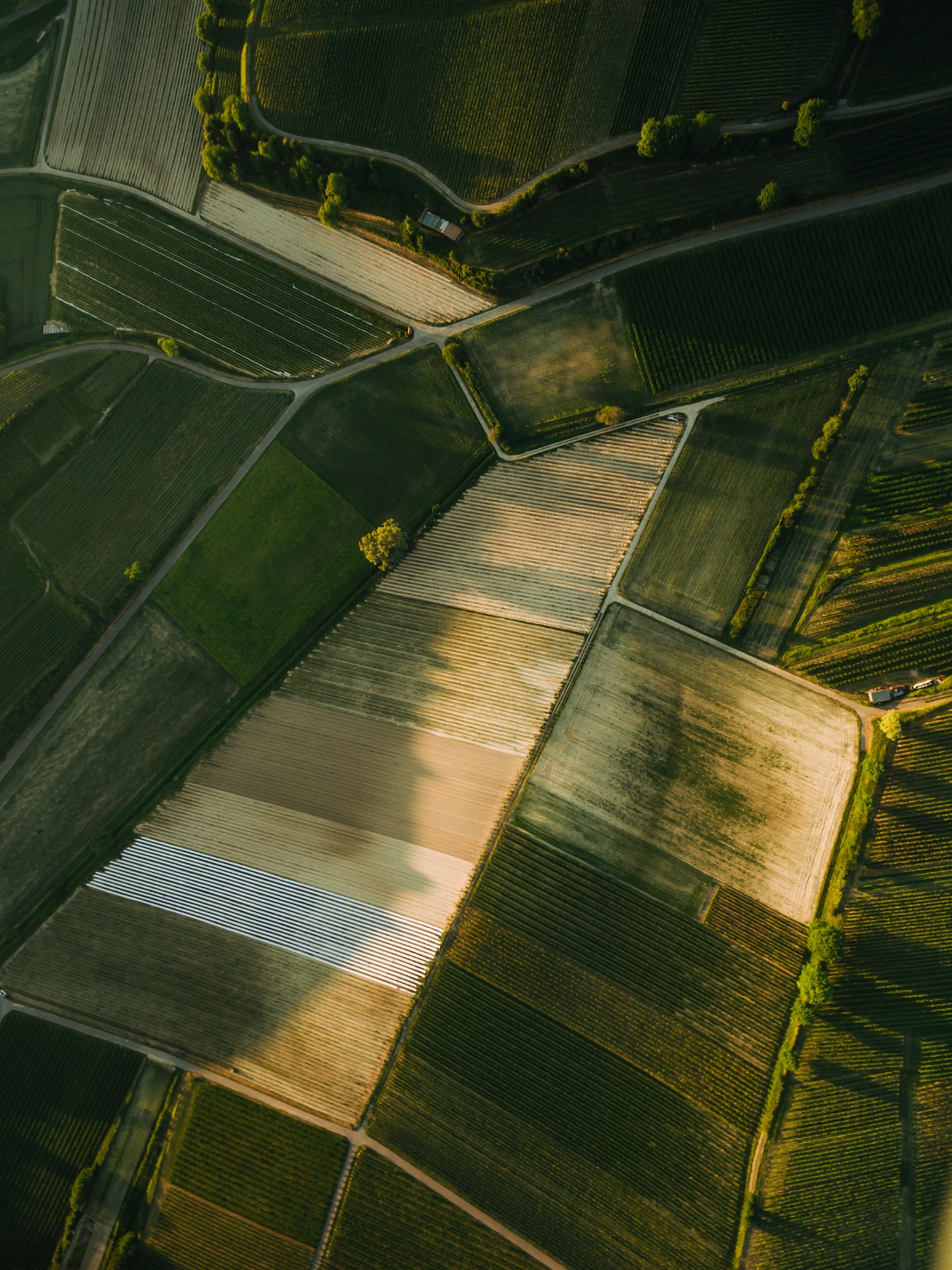 aerial view of agro fields in summer, europe